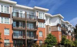 PHOTO: VKYRYL/ISTOCK / GETTY IMAGES PLUS/GETTY IMAGES