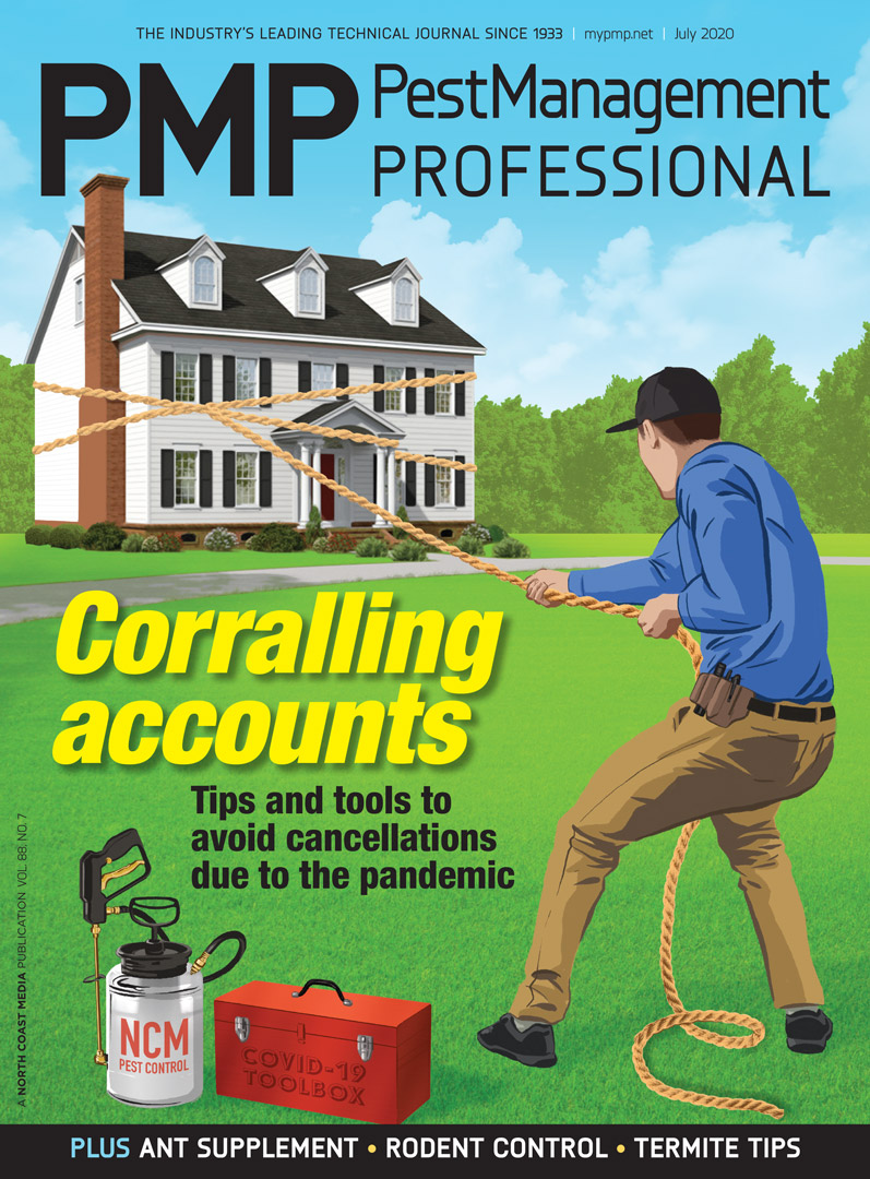 PMP July 2020 cover. Illustration: Rob Dobi