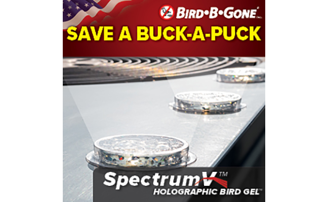 IMAGE: BIRD-B-GONE