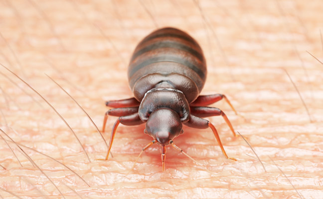 PHOTO: SCIEPRO/SHUTTERSTOCK.COM
