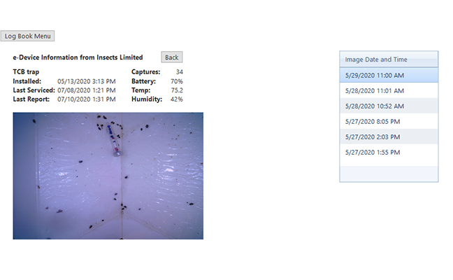 IMAGE: INSECTS LIMITED