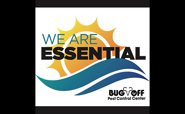 IMAGE: LONGQUATTRO/ISTOCK / GETTY IMAGES PLUS/GETTY IMAGES