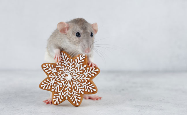 PHOTO: KOBEZA/ISTOCK / GETTY IMAGES PLUS/GETTY IMAGES