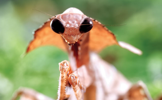 PHOTO: ANTAGAIN/E+/GETTY IMAGES