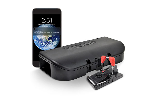 IMAGE: WOODSTREAM CORP.