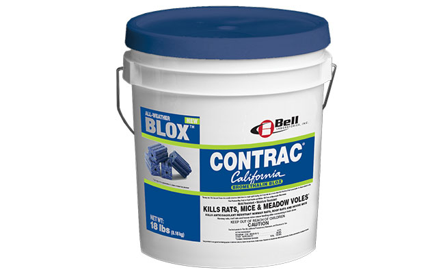 IMAGE: BELL LABORATORIES