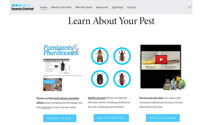 IMAGE: INSECTS LIMITED