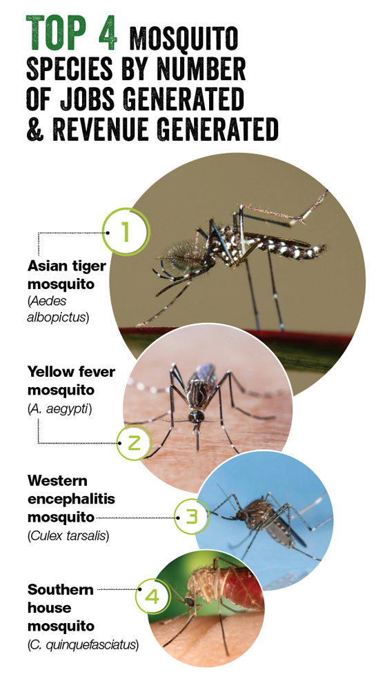 SOURCE: PMP MOSQUITO MANAGEMENT SURVEY CONDUCTED MARCH 2021; PHOTOS: IMNATURE/ISTOCK / GETTY IMAGES PLUS/GETTY IMAGES (1); TEPTONG/ISTOCK / GETTY IMAGES PLUS/GETTY IMAGES (2); JOSEPH BERGER, BUGWOOD.ORG (3); CDC/JIM GATHANY (4)