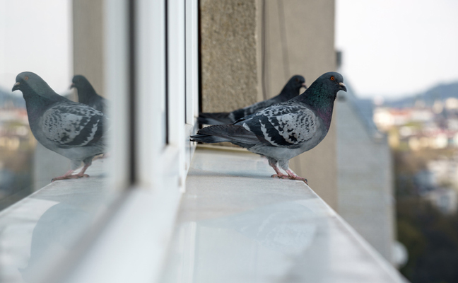 IMAGE: AYMAN-ALAKHRAS/ISTOCK / GETTY IMAGES PLUS/GETTY IMAGES