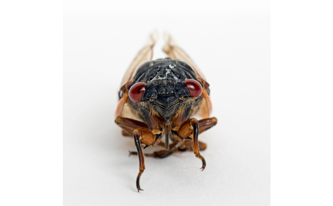 PHOTO: LAWCAIN/ISTOCK / GETTY IMAGES PLUS/GETTY IMAGES