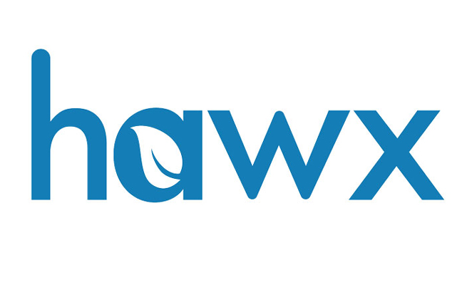 LOGO: HAWX SERVICES