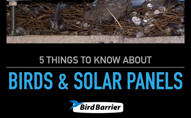 Please Fill Out The Following Fields.