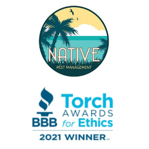 Native-Pest-BBB-Award300x300