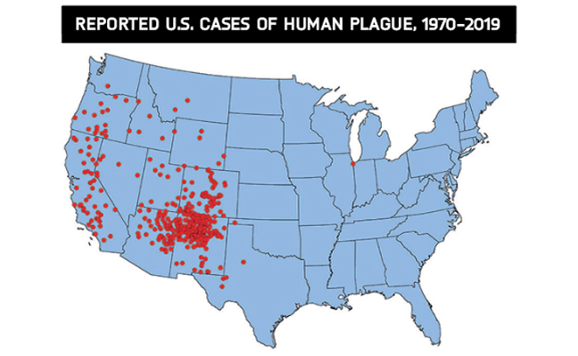 One dot is placed randomly in the most likely county of exposure for each confirmed plague case. Since the mid–20th century, plague in the U.S. typically has occurred in the rural West. The case shown in Illinois was lab-associated. SOURCE: CDC.GOV