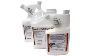 trio of Enystex Maxxthor jugs