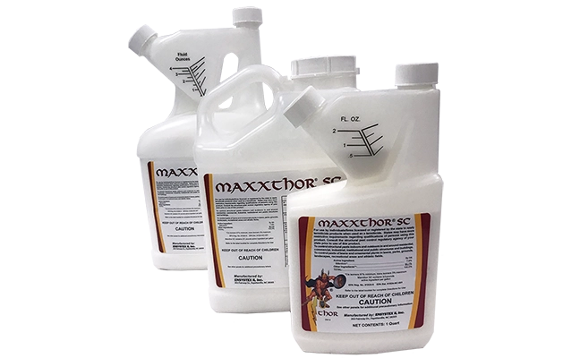 trio of Enystex Maxxthor jugs