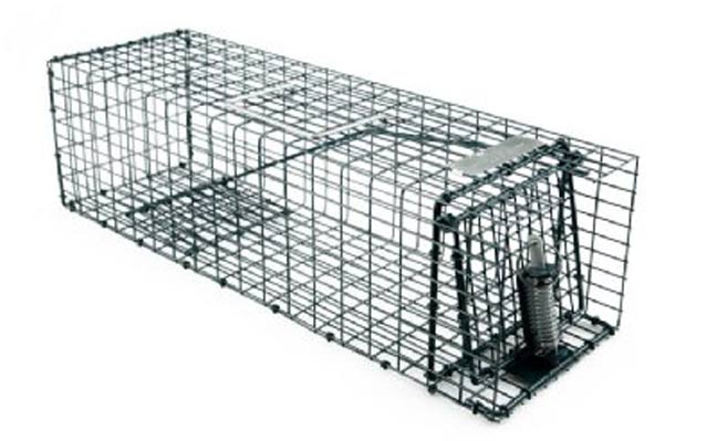 IMAGE: KNESS PEST DEFENSE