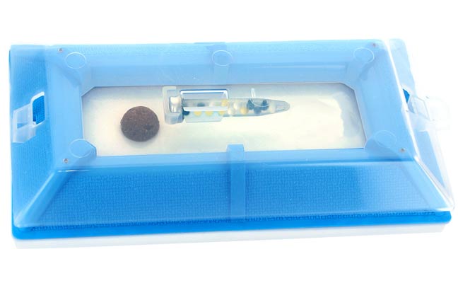 IMAGE: INSECTS LIMITED