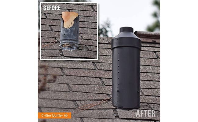 IMAGE: WILDLIFE CONTROL SUPPLIES