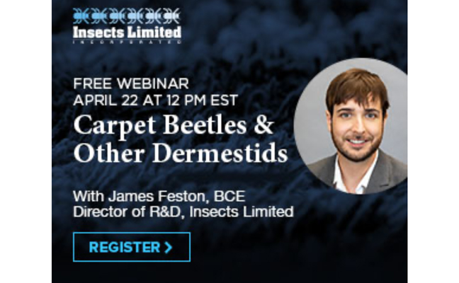 IMAGE: INSECTS LIMITED