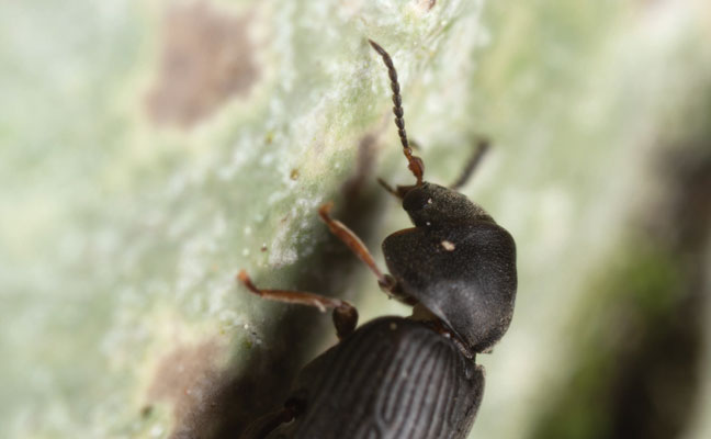 Photo: Henrik_L/iStock / Getty Images Plus/Getty Images