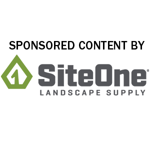 Logo: SiteOne