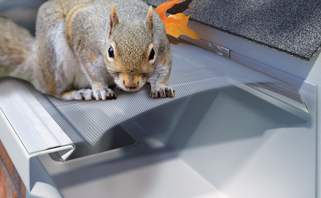 IMAGE: SERVICE PARTNERS