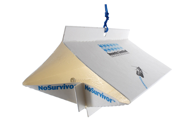 IMAGE: INSECTS LIMITED