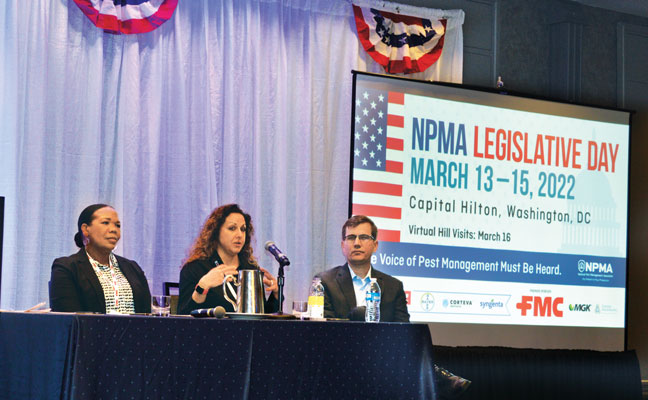 Photo: PMP Staff
