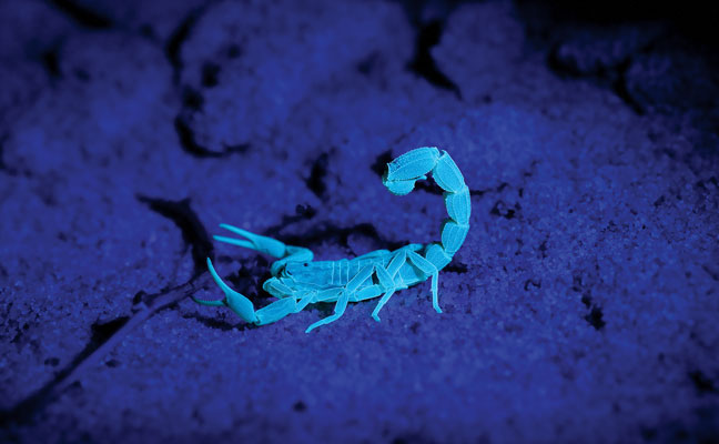 Photo: Steve Adams/iStock / Getty Images Plus/Getty Images