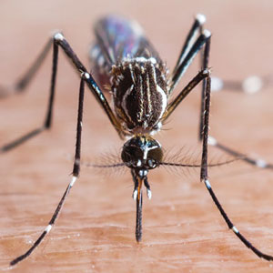 Please Fill Out The Following Fields.