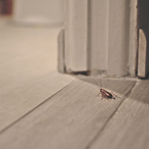 Photo: jennifer.sche/iStock / Getty Images Plus/Getty Images [1:54 PM] Danielle Pesta No problem!