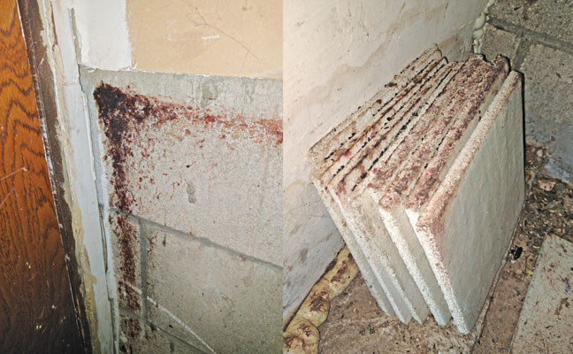 Photo: Rudy Ayala, ACE