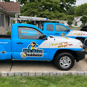 PHOTO: MRS.BZZZ PEST AND TERMITE SOLUTIONS