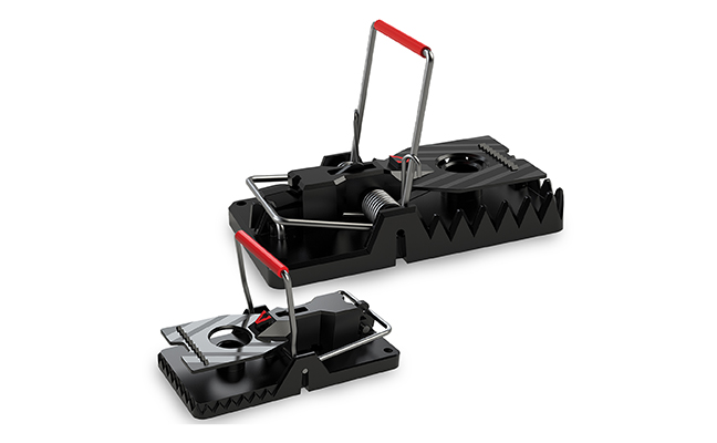 IMAGE: WOODSTREAM CORP.