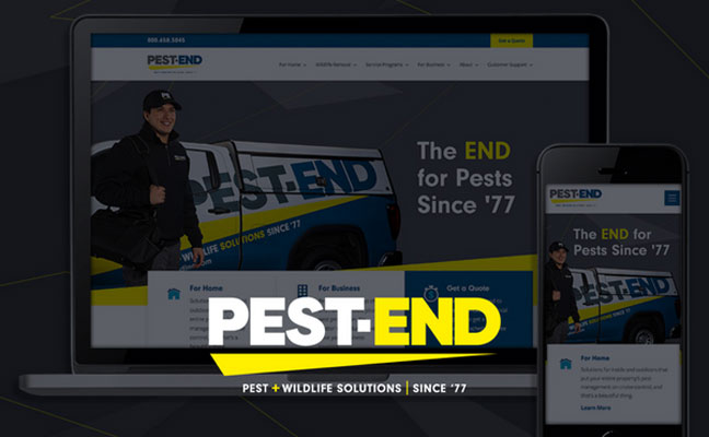 IMAGE: PEST-END