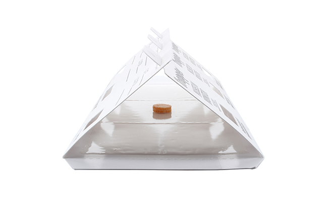 IMAGE: INSECTS LIMITED