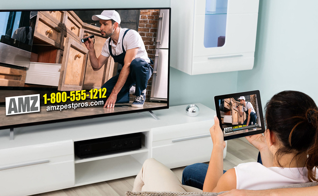 IMAGE: NEWPORT MEDIA