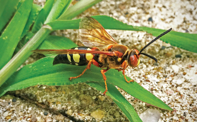 Photo: NNehring/iStock / Getty Images Plus/Getty Images