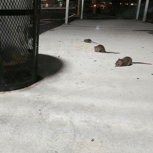 Photo: Katie Dobies/iStock / Getty Images Plus/Getty Images