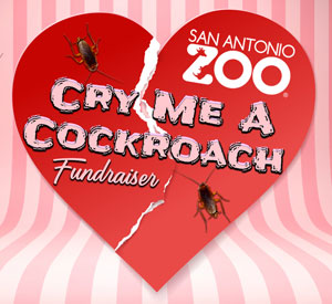 IMAGE: SAN ANTONIO ZOO