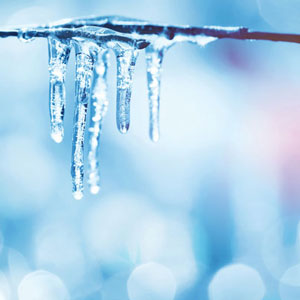 PHOTO: LEONID IKAN/ISTOCK / GETTY IMAGES PLUS/GETTY IMAGES