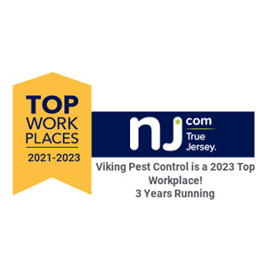 IMAGE: VIKING PEST CONTROL