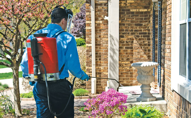 Photo: © Gene White