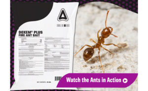 IMAGE: CONTROL SOLUTIONS INC.