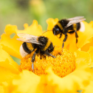 Photo: nnorozoff/iStock / Getty Images Plus/Getty Images