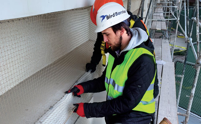 Photo: Michael Gallion, Bird Barrier