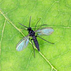 Photo: Tomasz Klejdysz/iStock / Getty Images Plus/Getty Images