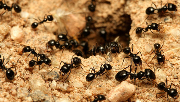 Photo: Cabezonication/iStock / Getty Images Plus/Getty Images