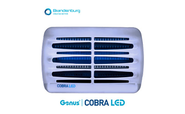 IMAGE: BRANDENBURGåç